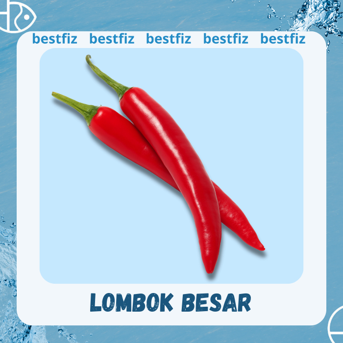 

Cabai Merah Besar