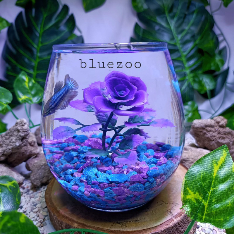 Aquarium Mini Dengan Batu Ungu Dan Bunga Ungu