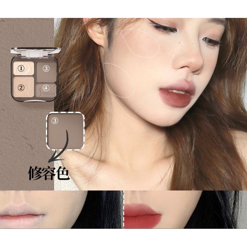 VEECCI HIGHLIGHT CONTOUR PALLETE