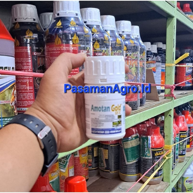 FUNGISIDA AMOTAN GOLD 325 SC -100 ML