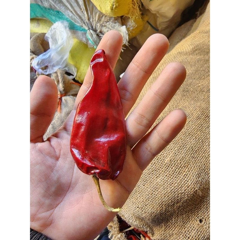 

Cabe kering 500 - Cabe jumbo - Cabe Tomat - Cabe HiTu 500gr