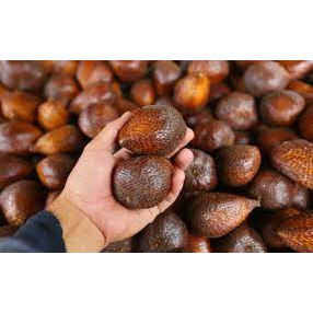 

Salak Pondoh