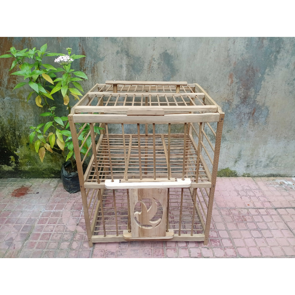 Dongdang Merpati 2 Pintu Unik | Dondang Merpati Bambu Pintu Kayu Jati | Kandang Merpati Murah