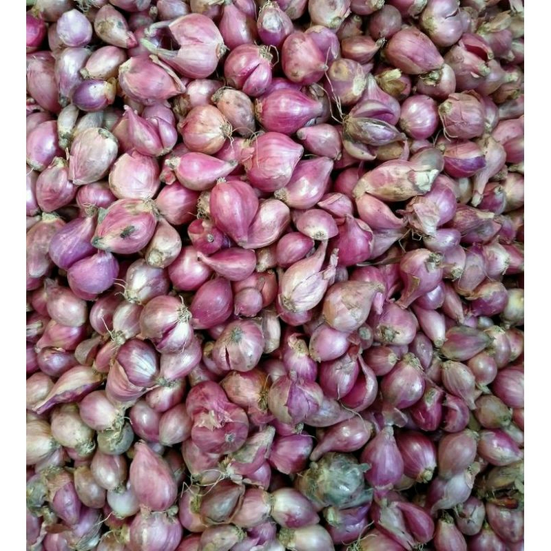

bawang merah 1 kg