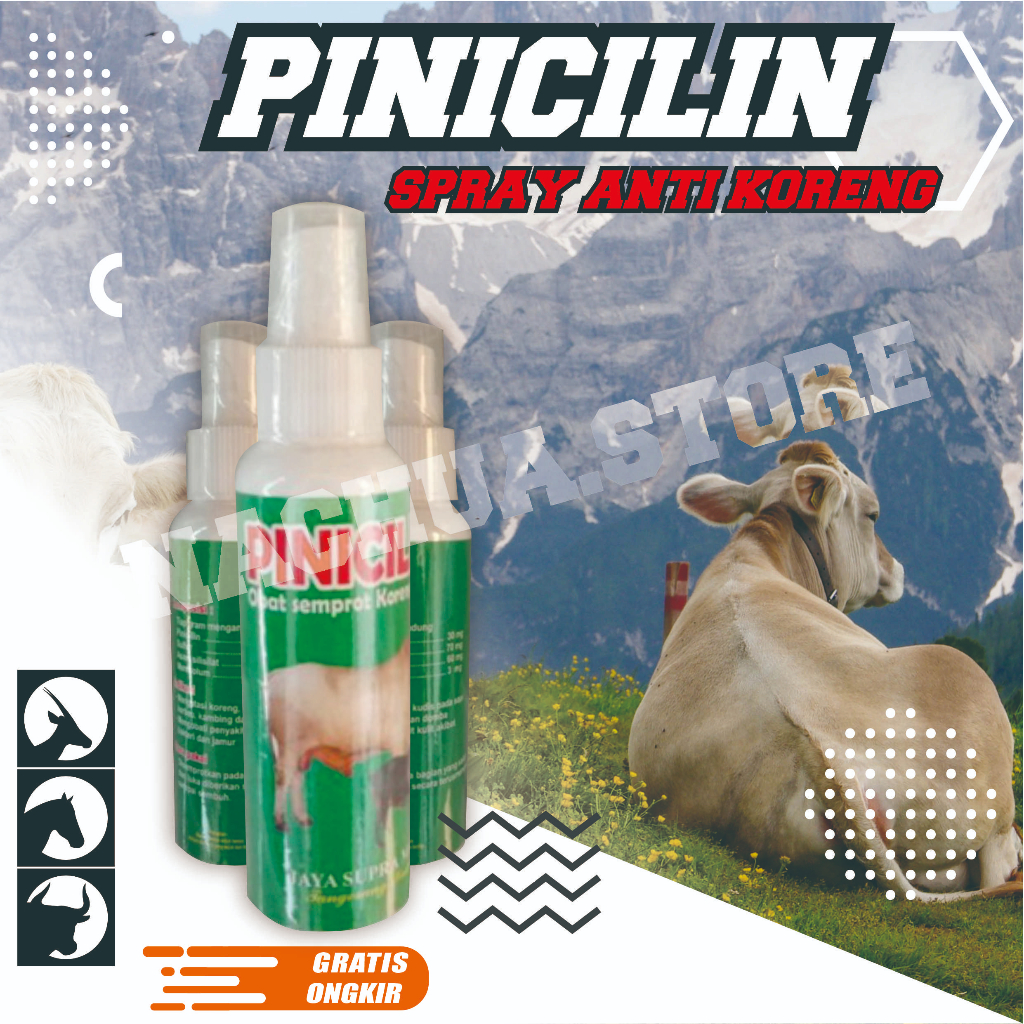 PINISILIN SPRAY Obat Luka Koreng Infeksi Kulit