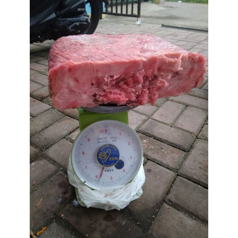 

tetelan tuna
