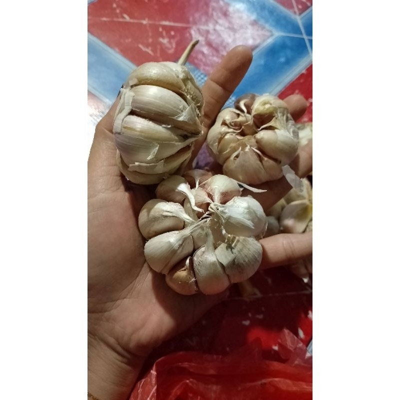 

BAWANG PUTIH 1 KG BERSIH