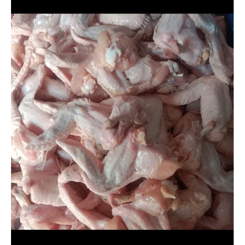 

SAYAP AYAM 1KG READY SETIAP hari