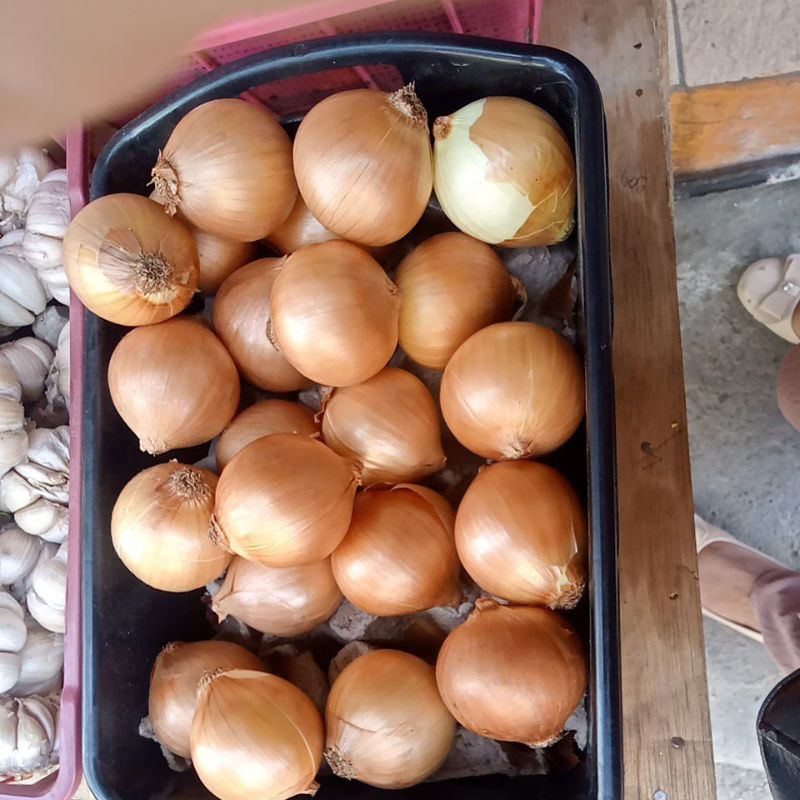 

bawang bombay