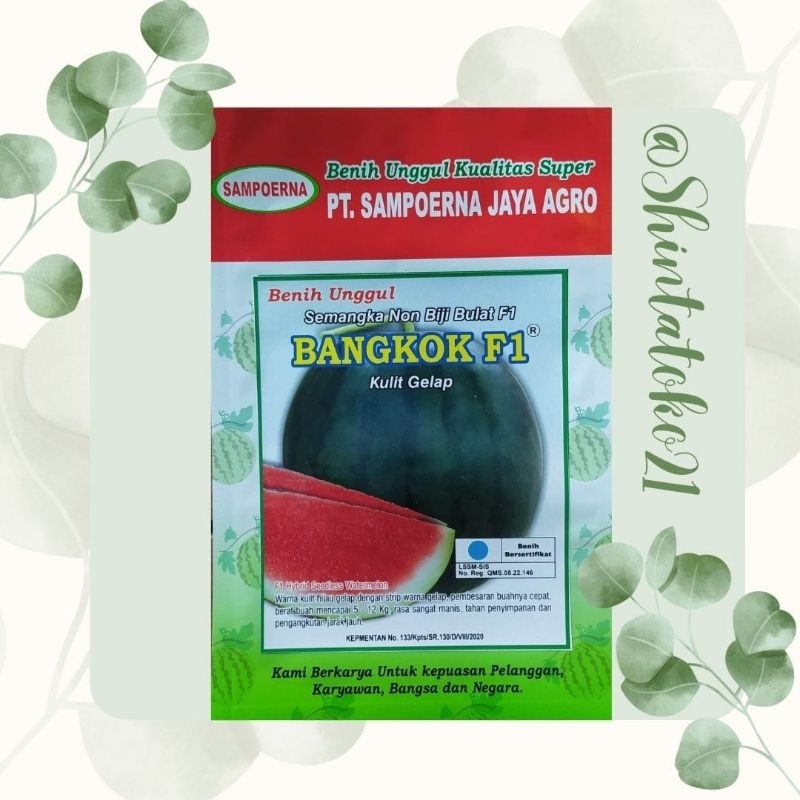 Benih semangka non biji bulat BANGKOK F1 (GRATIS HOODIE/KAOS SETIAP PEMBELIAN MINIMAL 15 BUNGKUS)