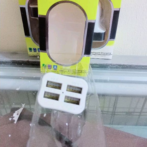 USB Charger 2 Lubang