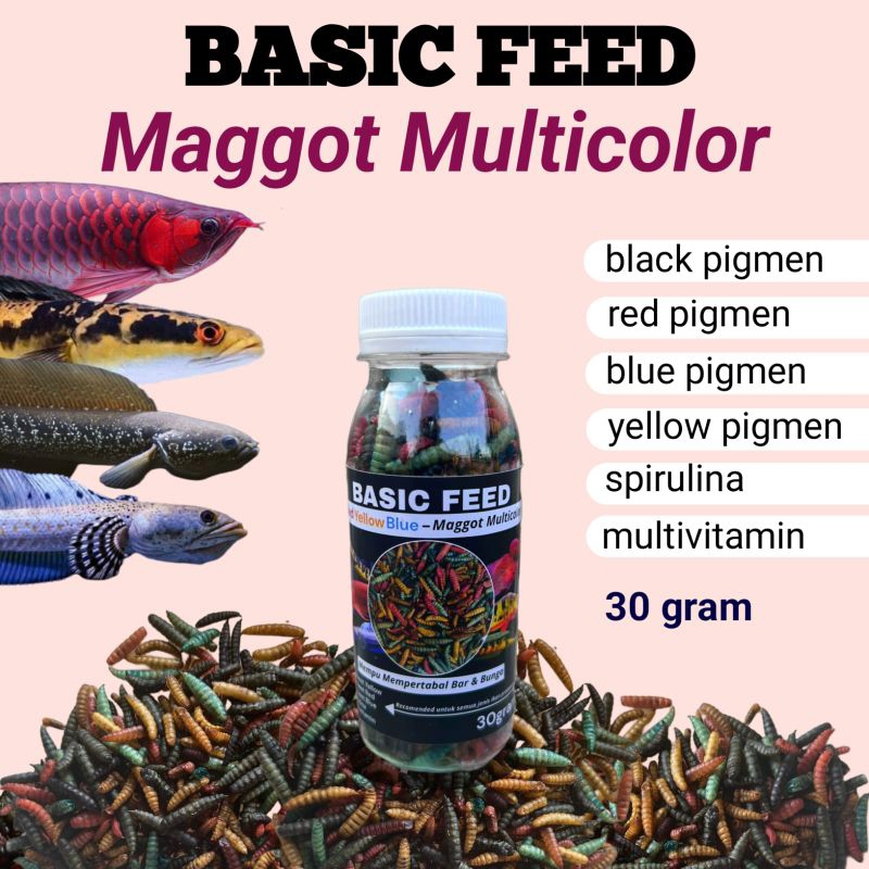 maggot multicolor varian mix red yellow blue black 30gram pakan ikan channa yellow sentarum red bari