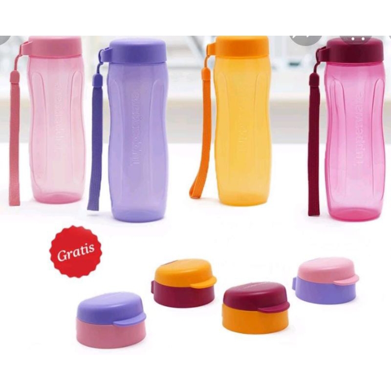 eco Fasion 500 ml free tutup flip