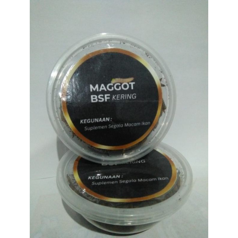 maggot bsf kering