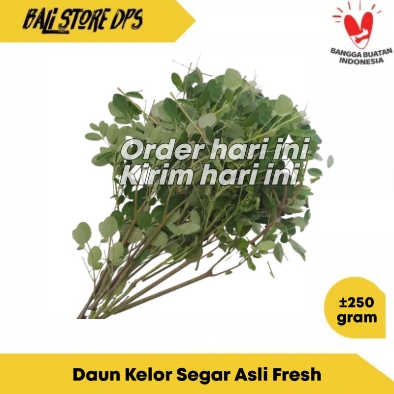 

DAUN KELOR SEGAR 250 GRAM ISI LEBIH BANYAK SAYUR FRESH ASLI DENPASAR BALI (KHUSUS GOJEK)