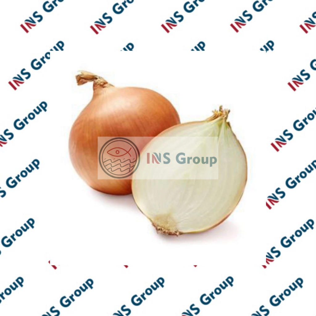 

Bawang Bombay 500gr / Bawang Bombay Segar