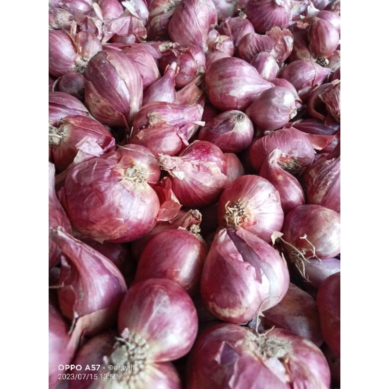 

BAWANG MERAH 500KG