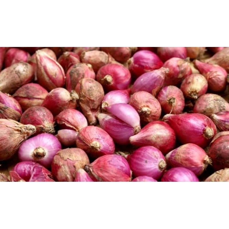 

bawang merah