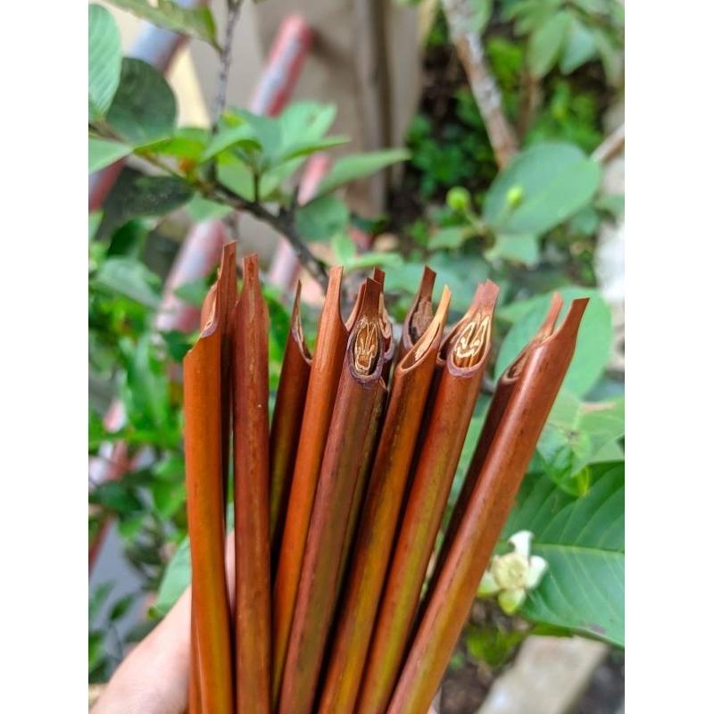 

handam kaligrafi (pena kaligrafi)