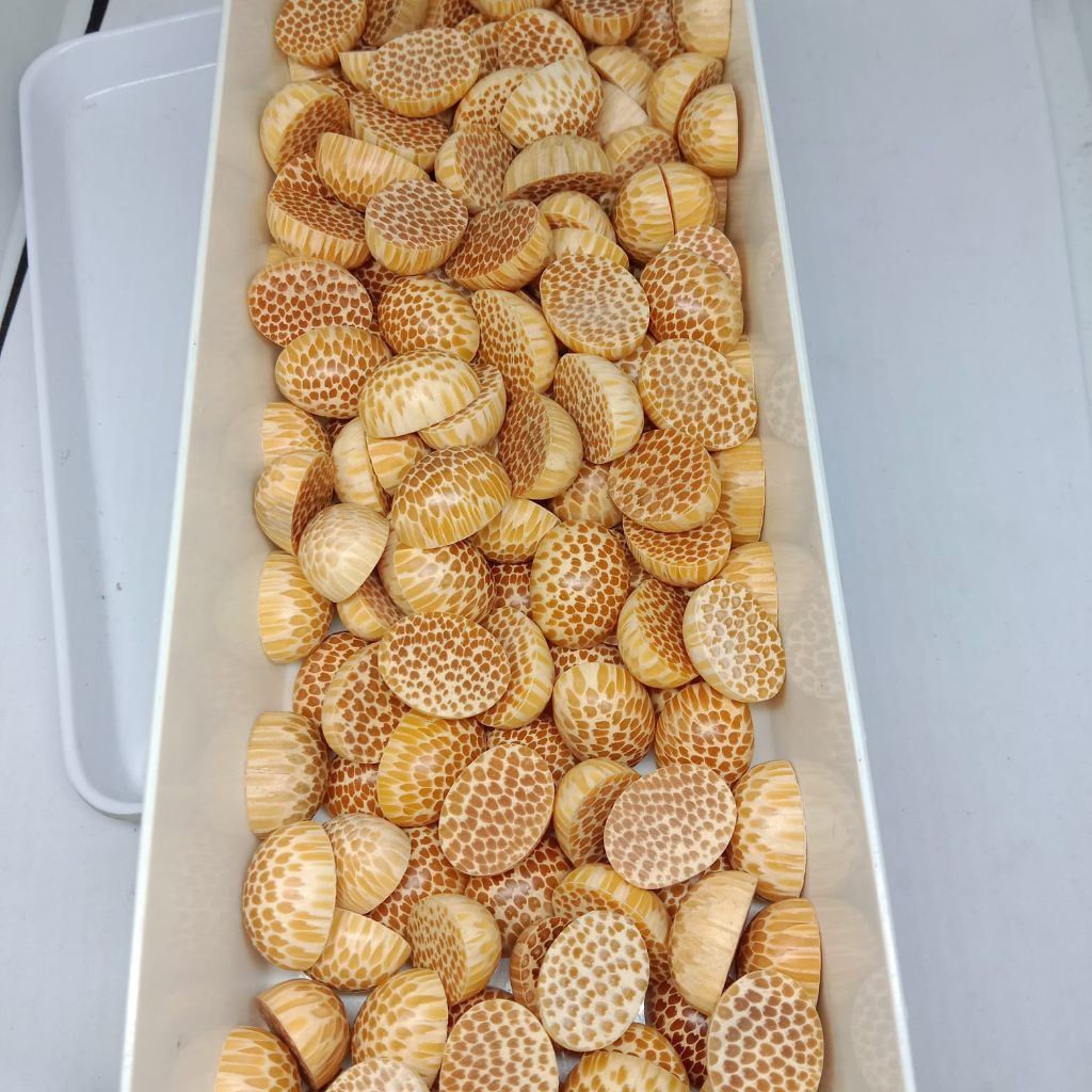 kayu liwung putih kuning tembus sente / batu cincin kayu liwung