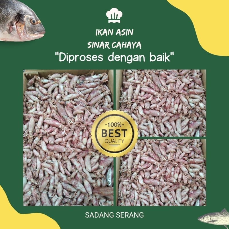 

Cumi Asin / Baby Cumi Asin Medium /Cumi Asin Kering Medium/Ikan Asin Cumi Sotong Telur, Jarum Super Grade A.