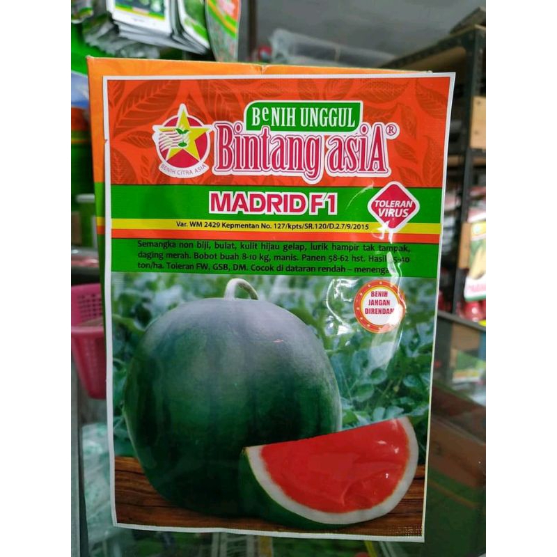 Benih Bibit Semangka MADRID F1 20 Gram Bintang Asia