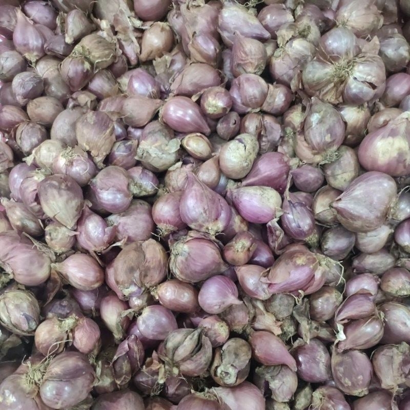 

Bawang Merah