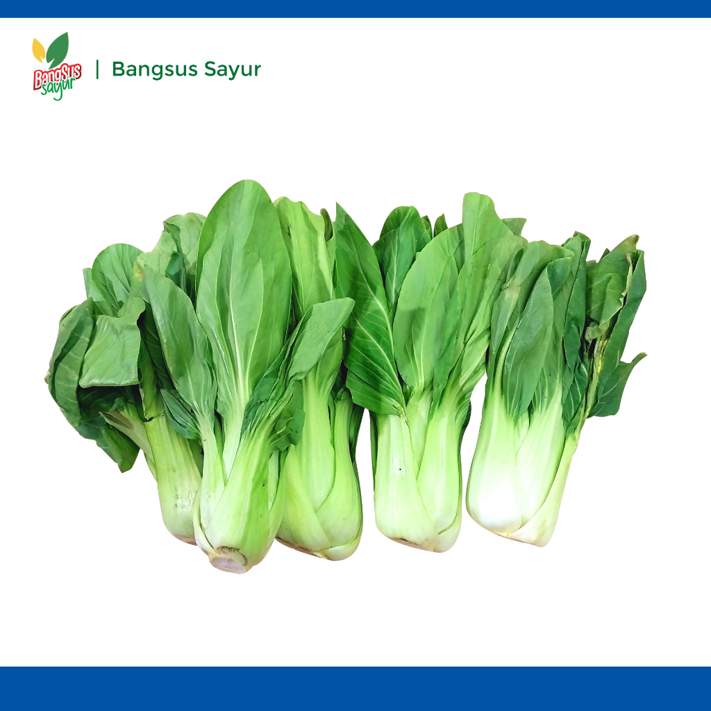 

Sawi Sendok 1Kg Segar Murah