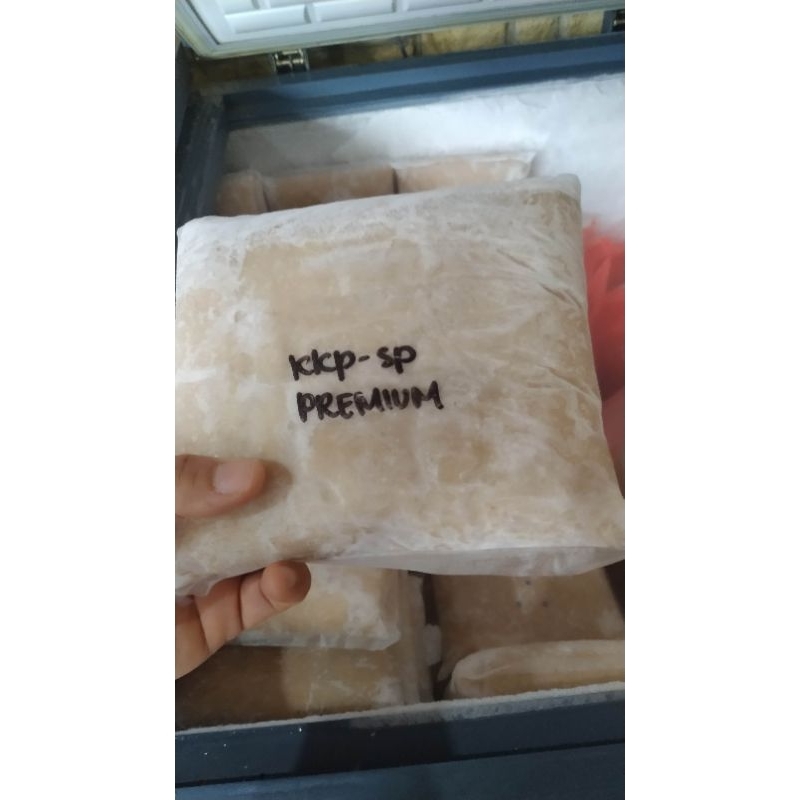 

IKAN KAKAP SUPER PREMIUM