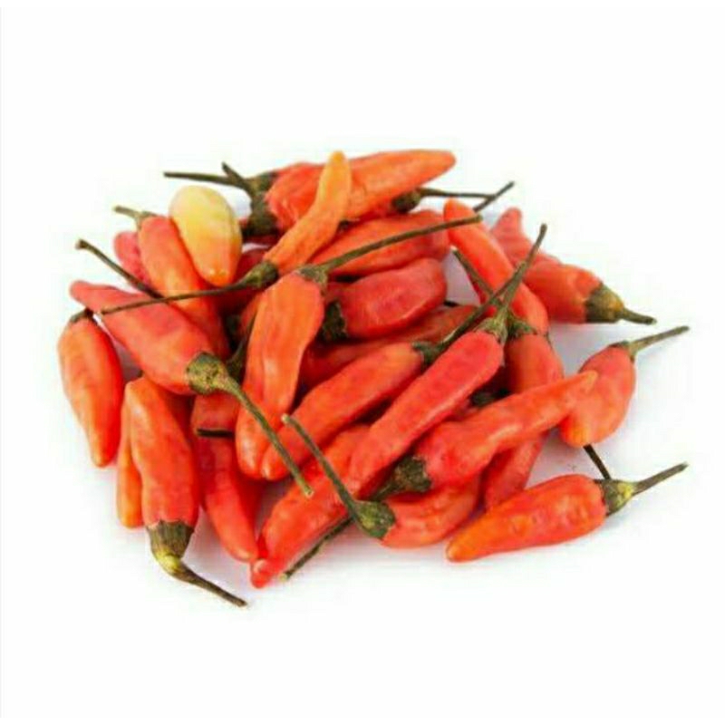 

Cabai Rawit Merah 1 kg !! Murah