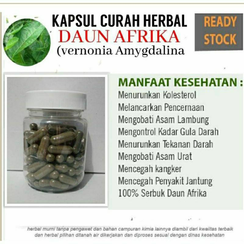 

DAUN AFRIKA 100 KAPSUL OBAT HERBAL TERBAIK (PREMIUM QUALITY)