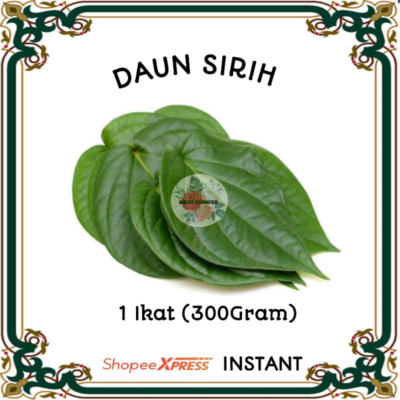 

DAUN SIRIH ASLI 1 IKAT