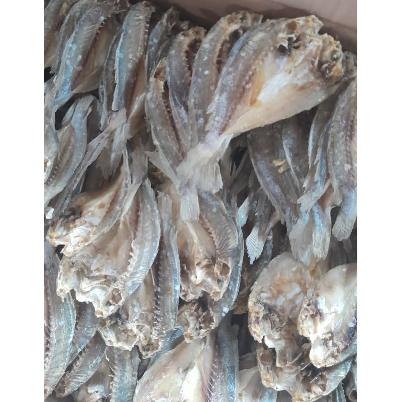 

IKAN ASIN BELAH TIGAWAJAH 1KG