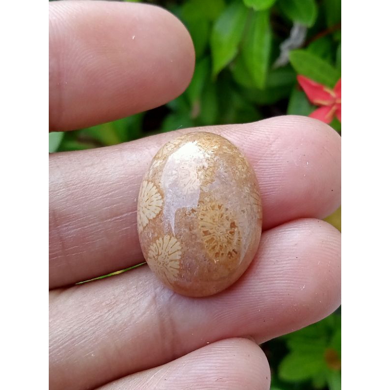 ✅ Batu Teratai ( Batu Fosil Natural - bukan bacan obi idocrase lumut sungai dareh bio solar lavender