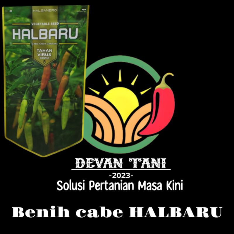 Benih cabe rawit Halbaru 10 gr ,cabe rawit pilihan petani