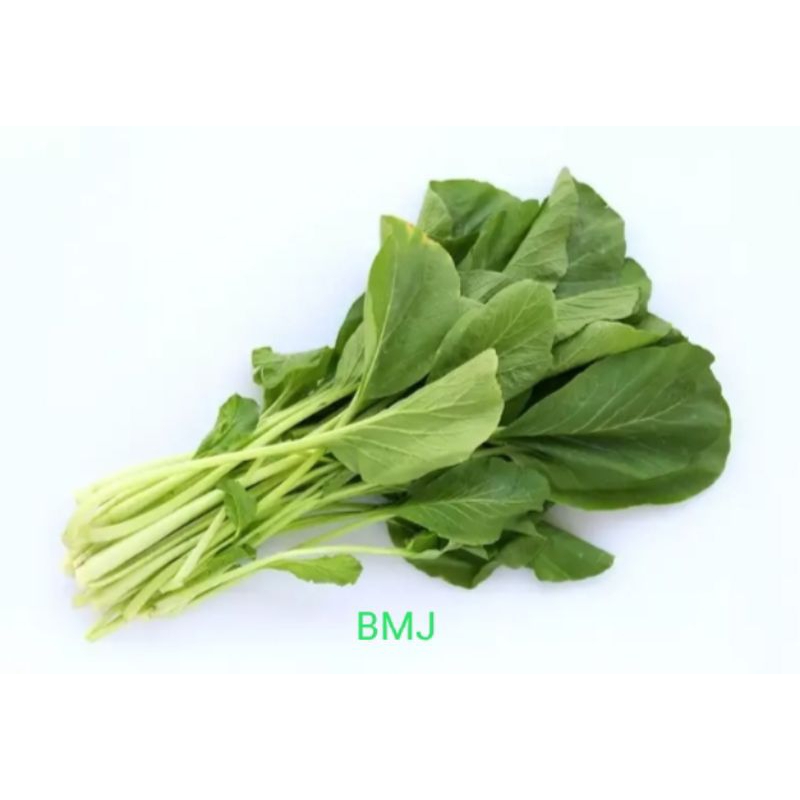

Sayur sawi hijau 250 gr - 500gr