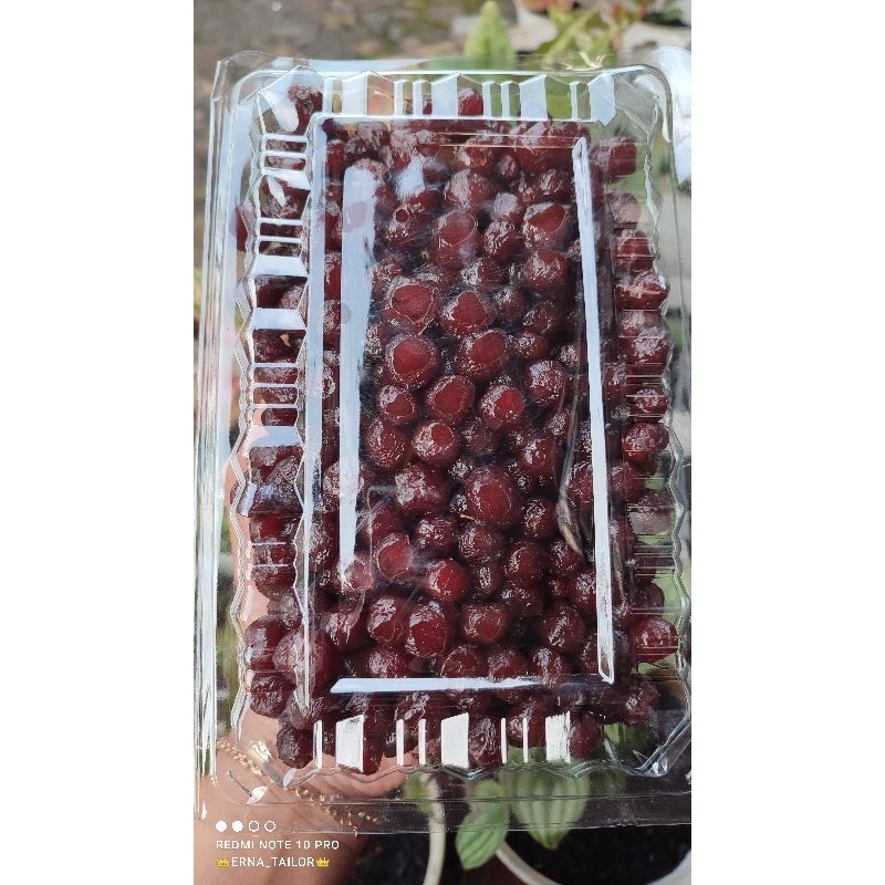 

Aneka Manisan Buah 1kg