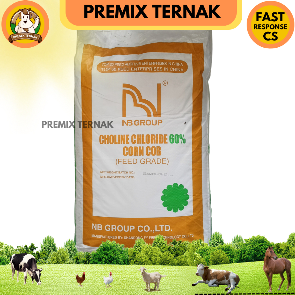 CHOLINE CHLORIDE SHANDONG - Feed Additive Nutrisi Ternak Unggas Babi Ikan Ayam