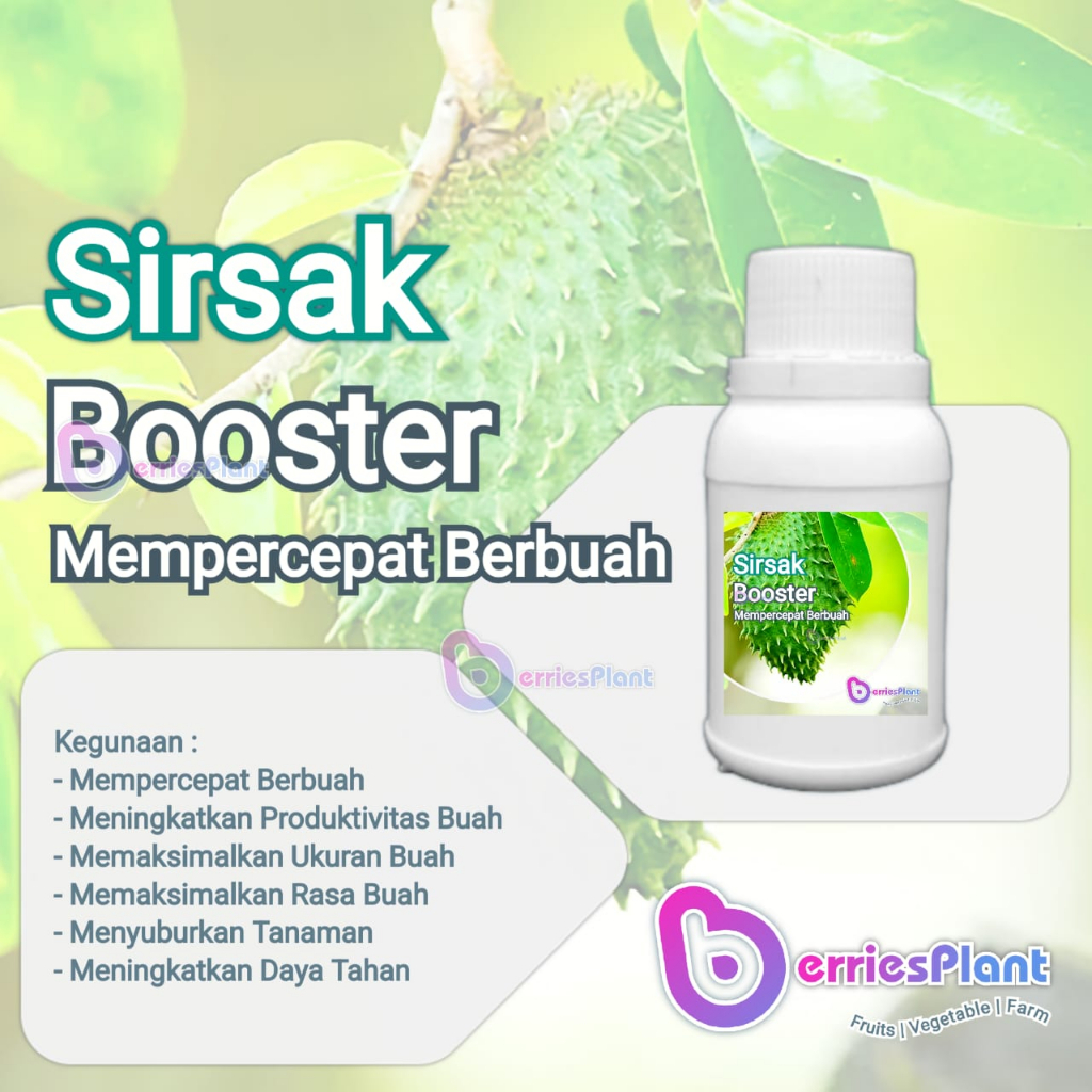 Booster Sirsak SUPER | Mempercepat Berbuah | Perangsang Bunga  |  Perangsang Buah | Cepat Berbuah | 