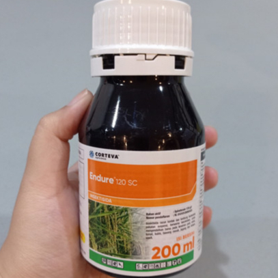 Insektisida Endure 120 SC 200 ml