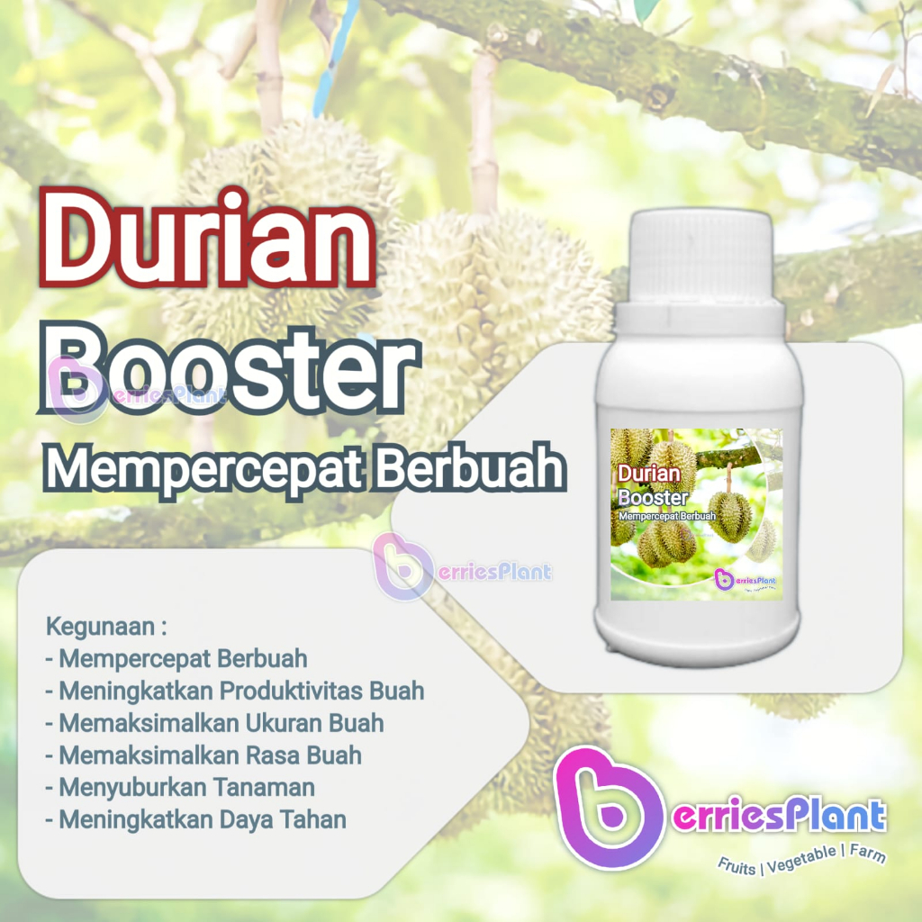Booster Durian SUPER | Mempercepat Berbuah | Perangsang Bunga  |  Perangsang Buah | Cepat Berbuah | 