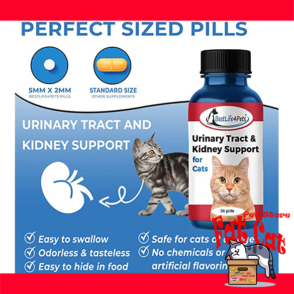 Obat susah kencing kucing obat urinary kucing kencing berdarah Per Pil
