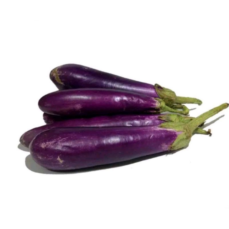 

terong ungu 500gr