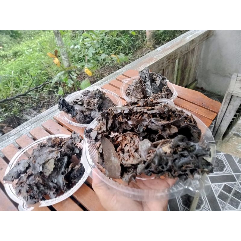 Propolis Trigona Itama 500g Propolis Mentah
