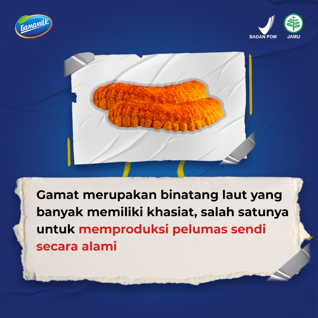 GAMAMILK SUSU ETAWA PREMIUM CEGAH OSTEOPHOROSIS DAN RADANG SENDI