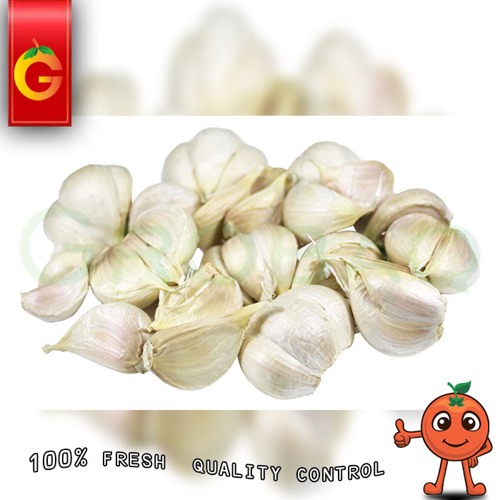 

BAWANG PUTIH KATING 250 GRAM