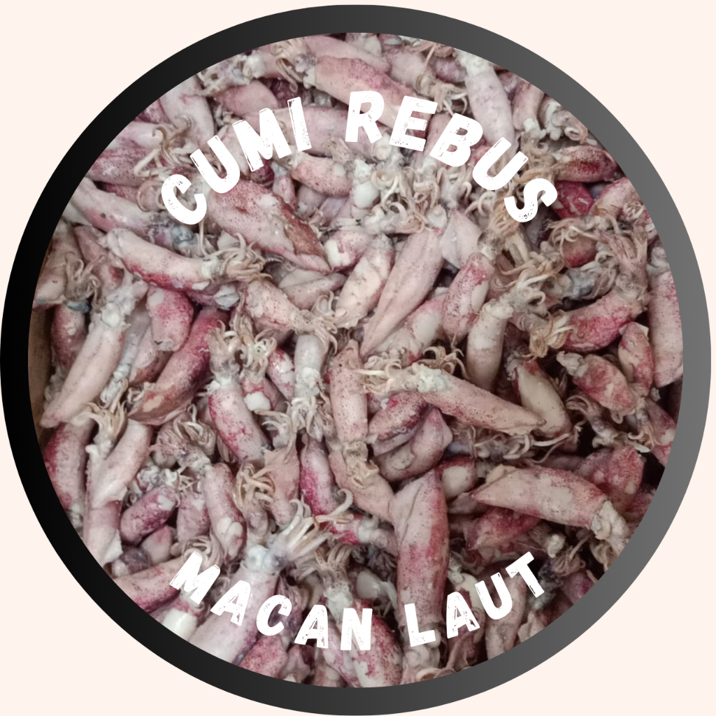 

IKAN ASIN CUMI TELOR REBUS 250GR UKURAN 3-5CM