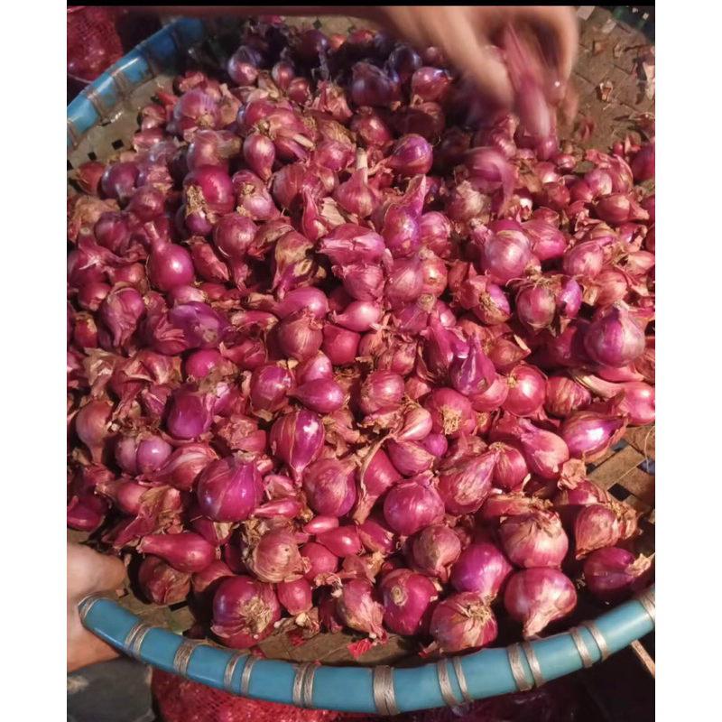 

Bawang Merah Brambang Lokal 500gram