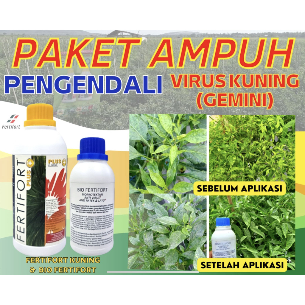 PAKET POC FERTIFORT KUNING + BIO FERTIFORT Anti Virus Gemini Anti Keriting Daun Obat Puret Keriting 