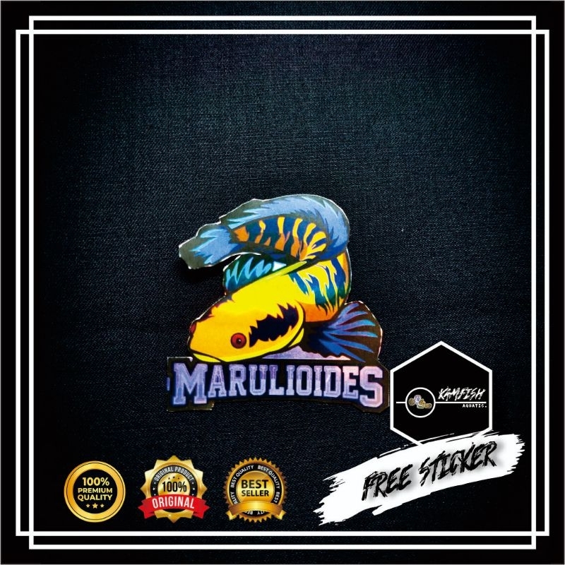 STICKER AQUARIUM /STICKER CHANA MARU YELLOW SENTARUM